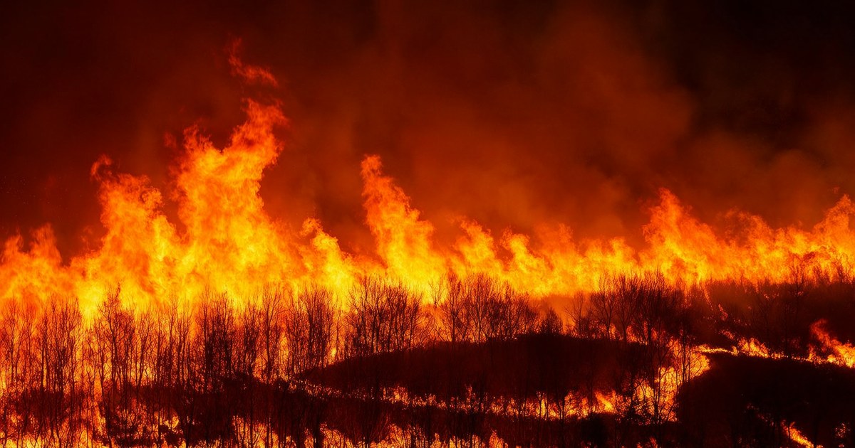 España pide refuerzos a Europa: aviones griegos e italianos contra el fuego de Madrid
