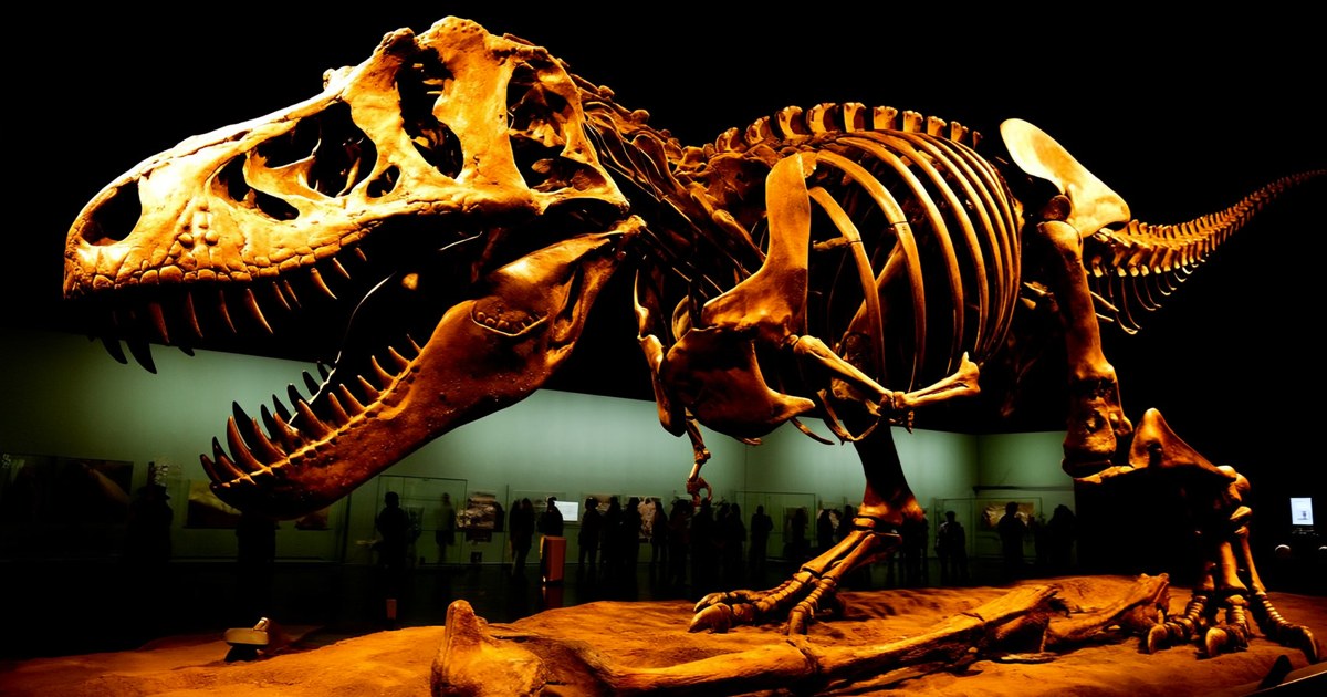 Un Tyrannosaurus Rex bate récord: vendido por 50 millones de dólares
