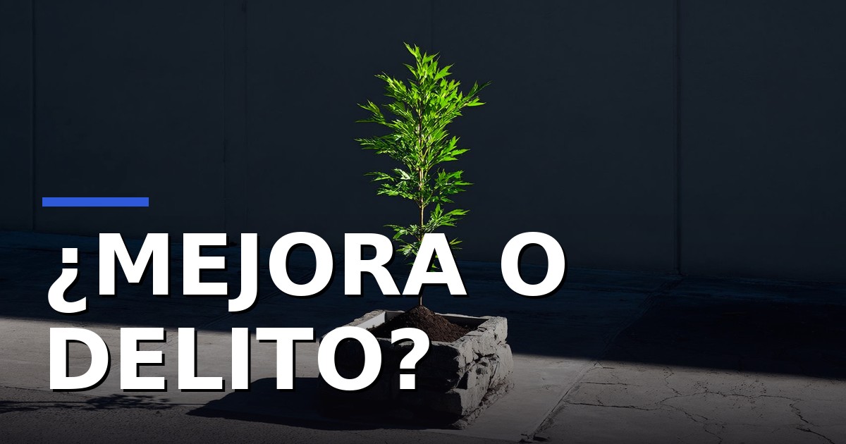 Multa de 1.733 euros por plantar árboles en su barrio sin permiso