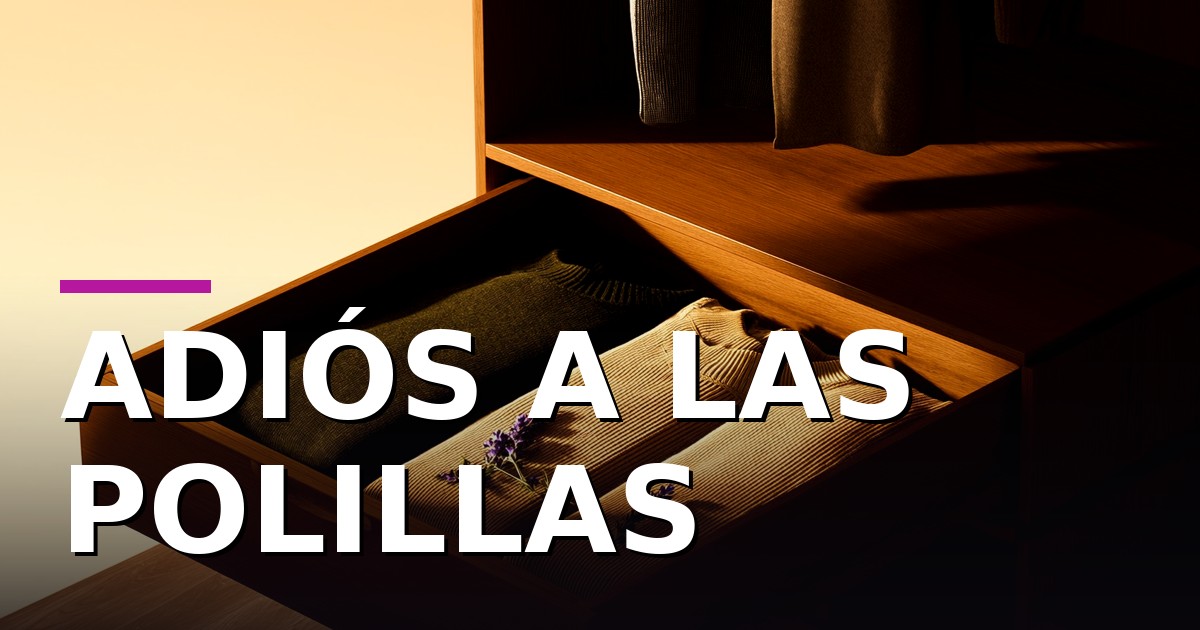 El truco que miles de españoles usan para que las polillas no toquen su ropa