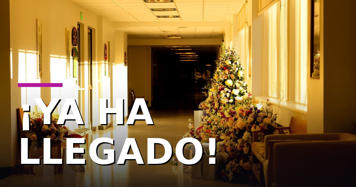 ¡Ha llegado Lola Belén! Las Pombo inundan el hospital de alegría