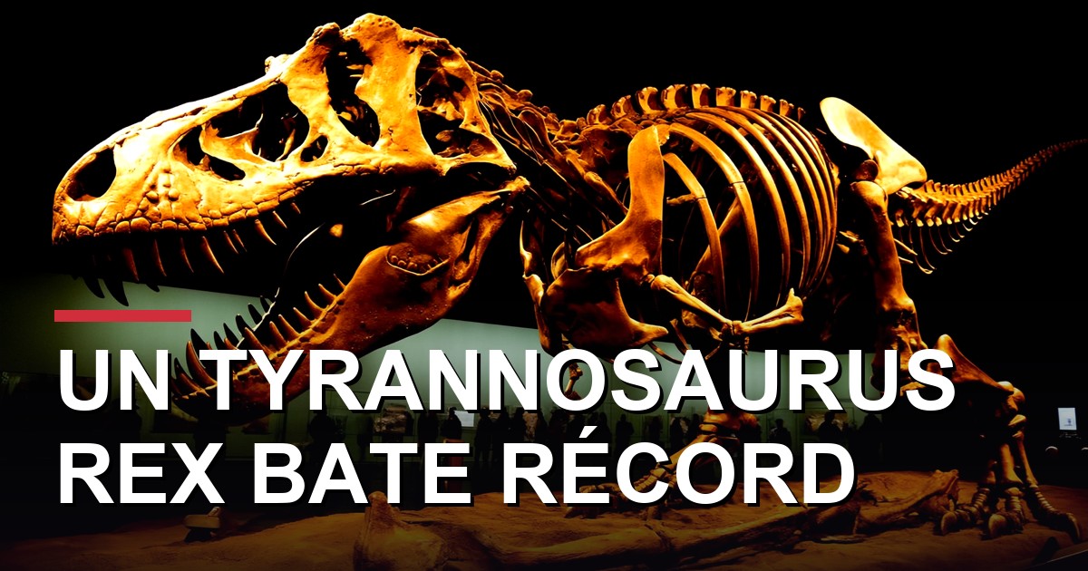 Un Tyrannosaurus Rex bate récord: vendido por 50 millones de dólares