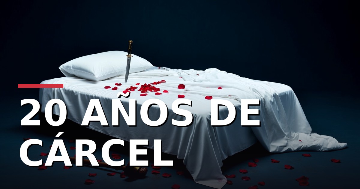 Condenado a 20 años por asesinar a su mujer con 49 puñaladas mientras dormía